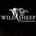 Wild Sheep Foundation