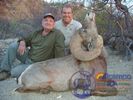 Steve Mussell 050.jpg