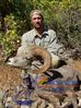 normal_desertsheepseason03-04-066.jpg