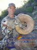 normal_desertsheepseason03-04-155.jpg