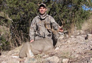 Coues Deer