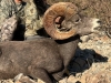 IMG-20241207-WA0043