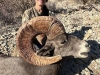 IMG-20241213-WA0181
