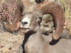 IMG-20250125-WA0033