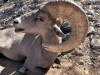 IMG-20250316-WA0036
