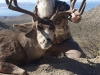 IMG-20250106-WA0018